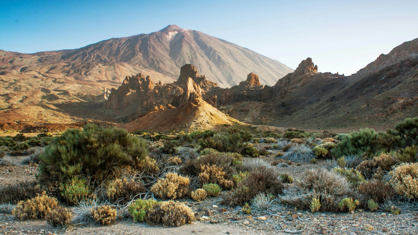 Der Teide bietet eine malerische Kulisse für Hochzeiten auf Teneriffa
